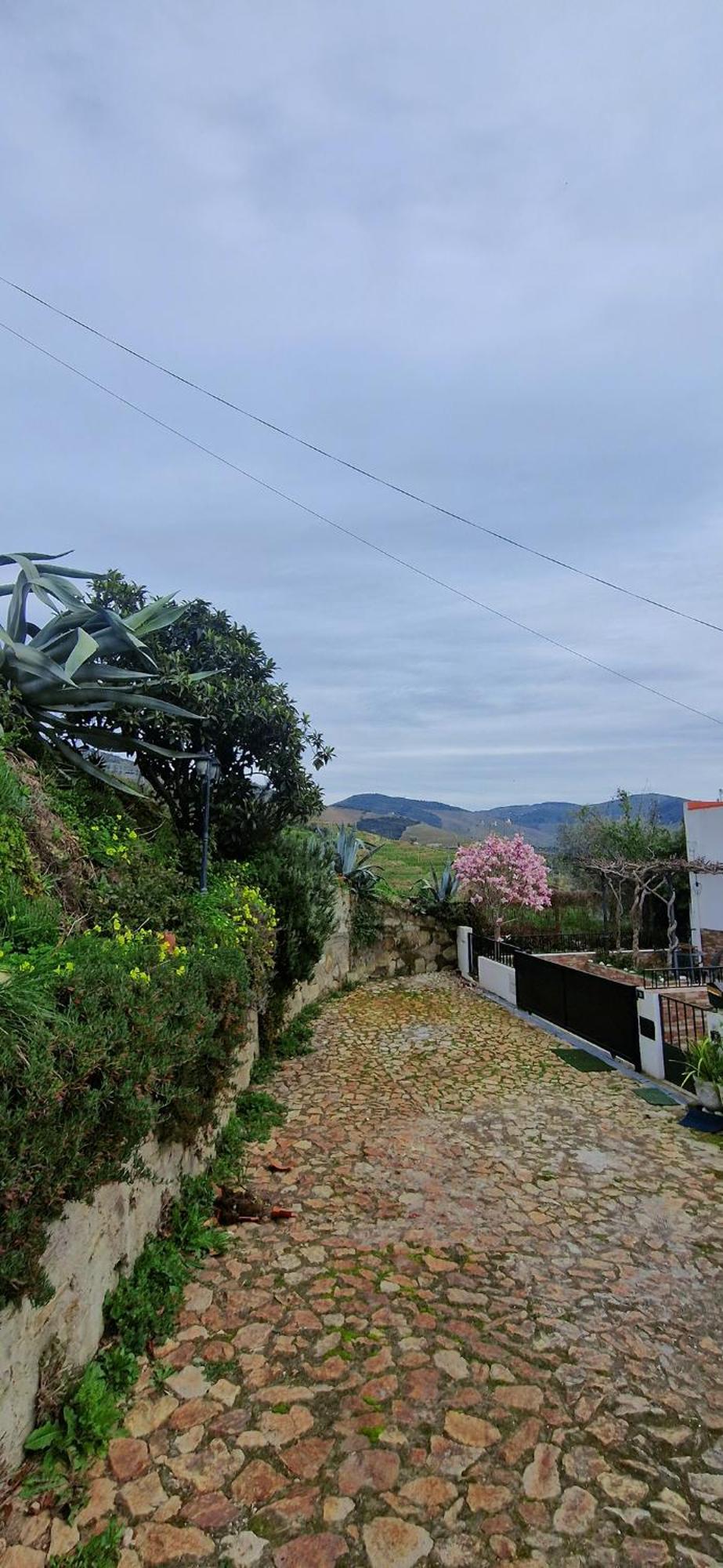 Vila Casa Rodrigues Pinhão Exteriér fotografie