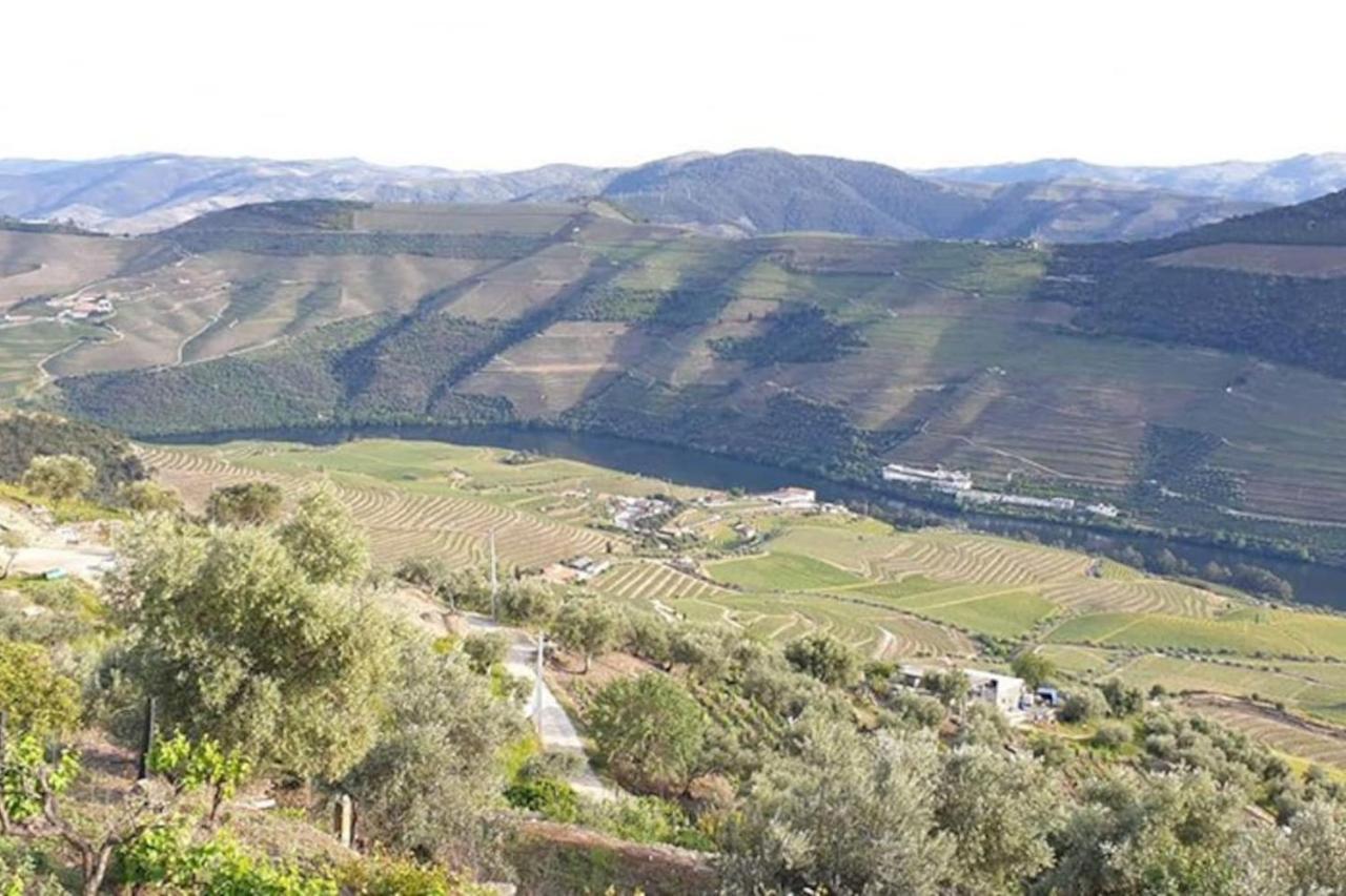 Vila Casa Rodrigues Pinhão Exteriér fotografie